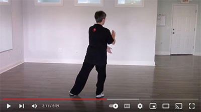 YouTube video - Marianne Walch demonstrating Yang 24 Forms, back view