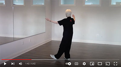 YouTube video - Susan Hamadock demonstrating Yang 24 Forms, back view