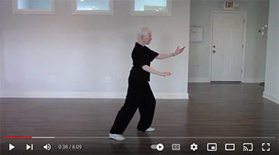 YouTube video - World Tai Chi & Qigong Day 2017